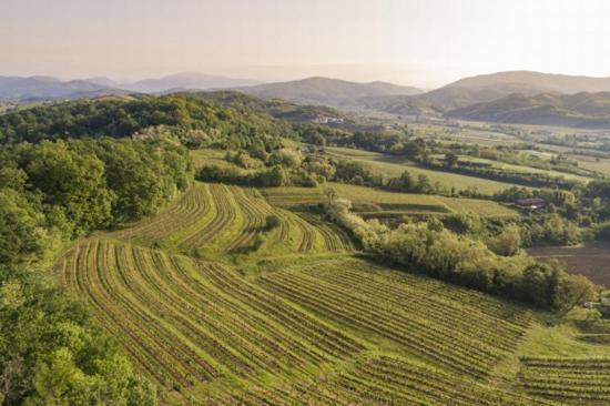 Agriturismo Spolert Winery Prepotto  외부 사진