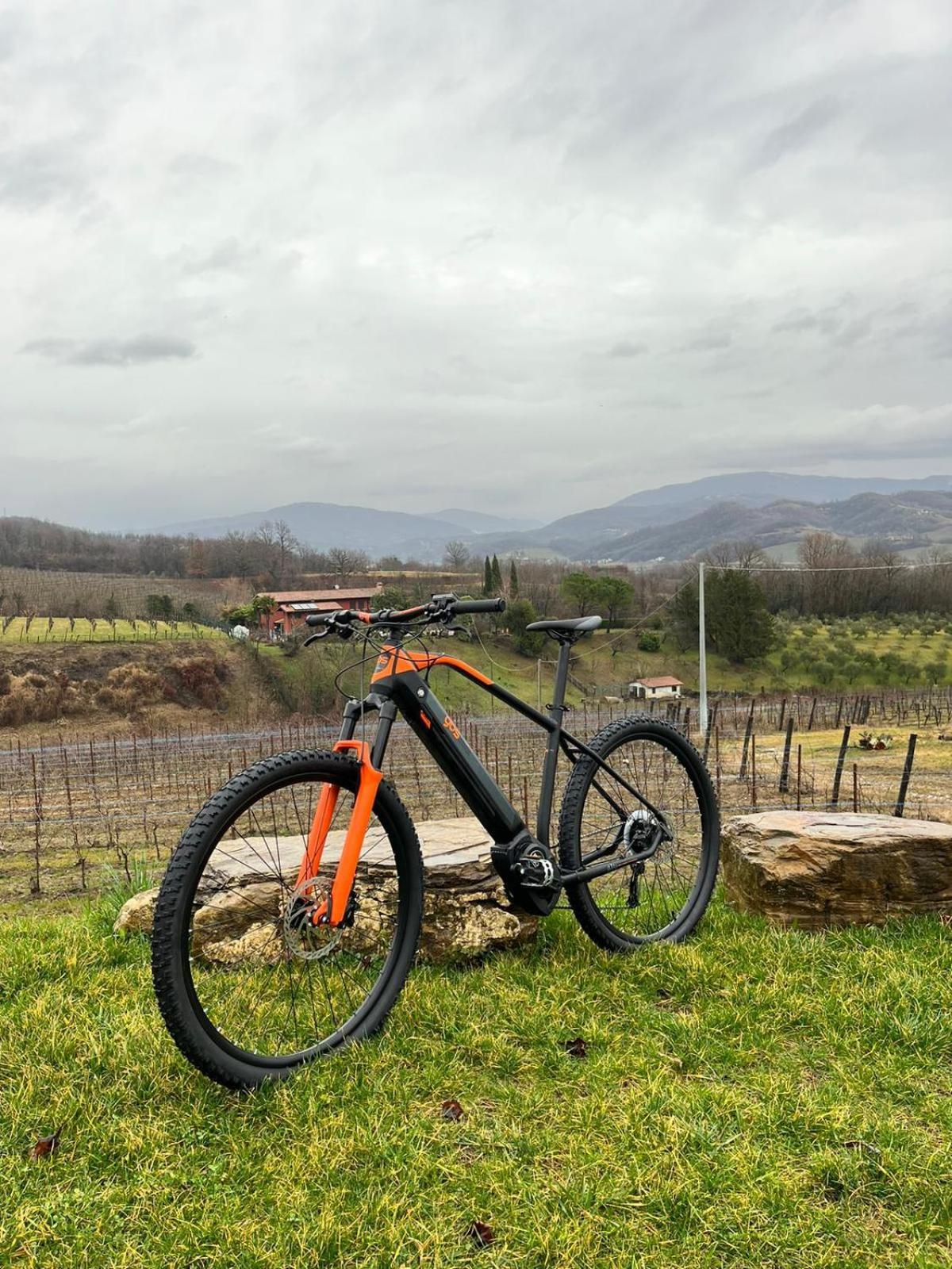 Agriturismo Spolert Winery Prepotto  외부 사진